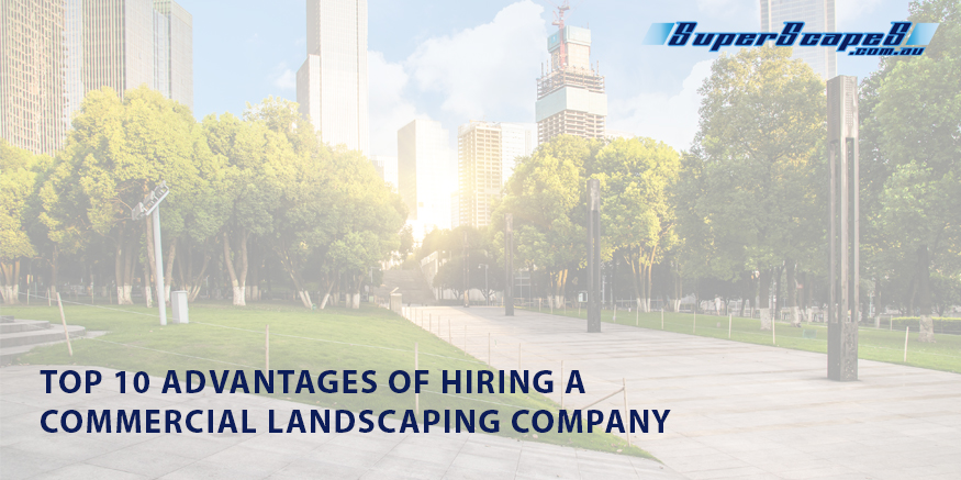 Commercial landscaping company - top 10 advantages of hiring commercial landscaping companies